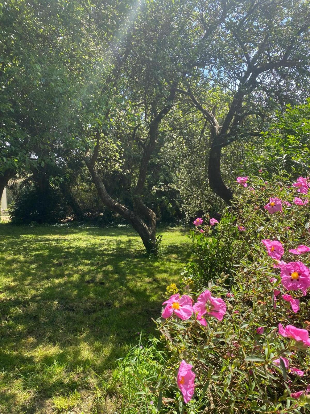 Holiday home Charme, Calme Et Authenticite Cote Des Legendes *